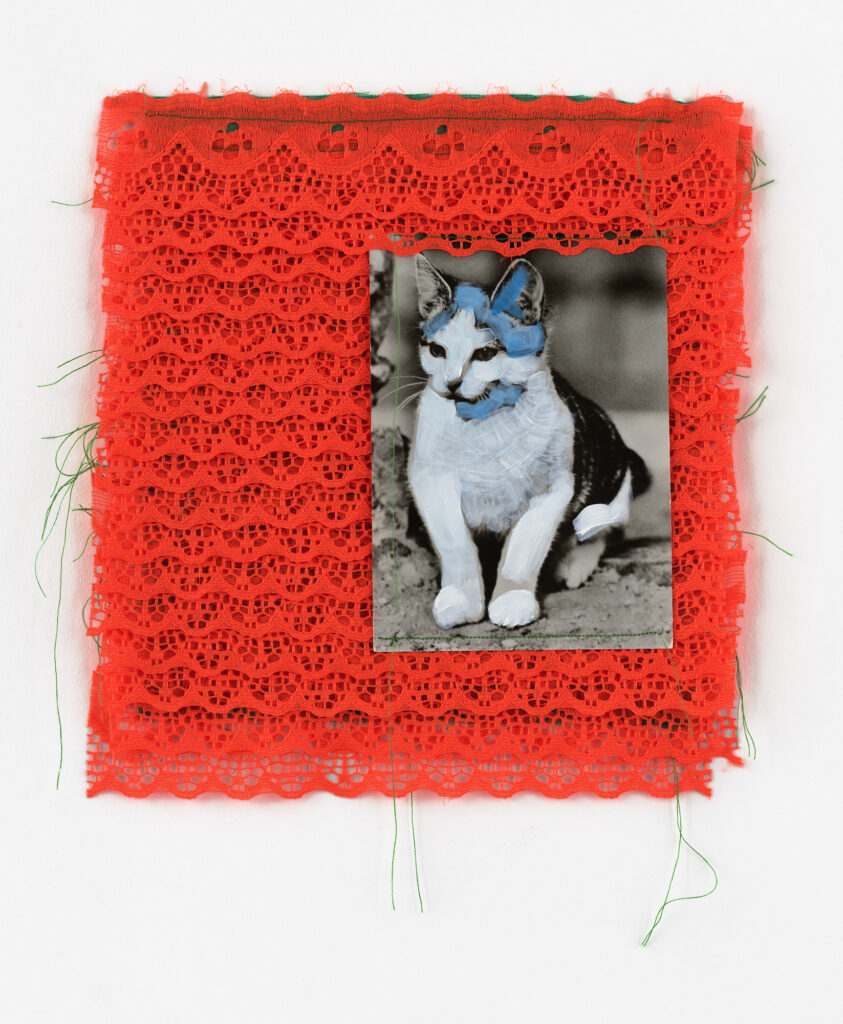 nachts- sind-alle-katzen-blau #3